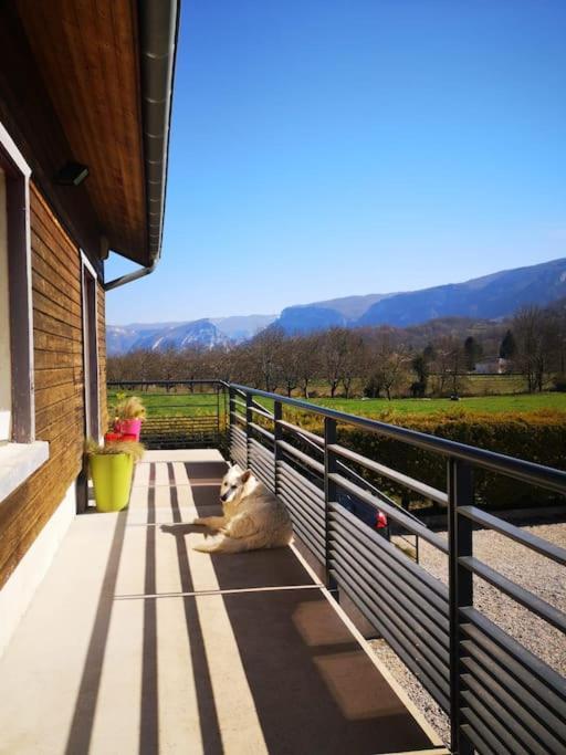 Balcons Du Royans.Logement Entier Piscine Saint-Jean-en-Royans Esterno foto